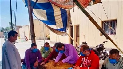 توريد 68752 طن قمح لـ 22 منفذا بـ 