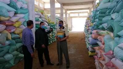 توريد 118159 طن قمح بصوامع وشون البحيرة