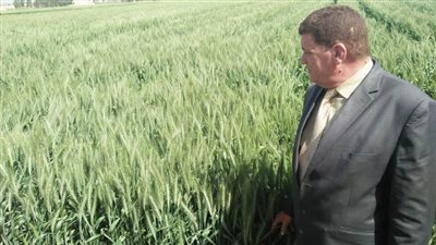 وكيل زراعة البحيرة: نتابع حصاد المحاصيل الشتوية حتى انتهاء الموسم