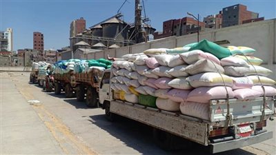 توريد 103 آلاف طن قمح لصوامع الدقهلية 