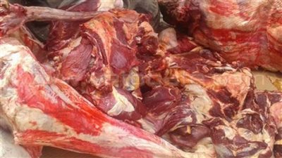 ضبط ١٠٠ كيلو لحوم مذبوحة خارج السلخانة بالدقهلية 