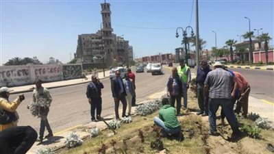 البدء في تطوير منطقة الدخيلة 