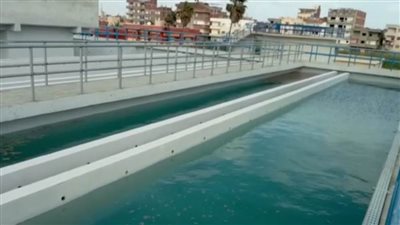 بدء تشغيل محطة مياه جديدة بكفر الدوار (فيديو)