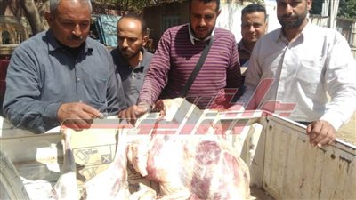 ضبط لحوم مذبوحة خارج المجازر بـ«المنوفية»