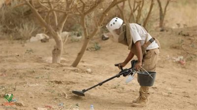انتزاع أكثر من مليون لغم في اليمن خلال الأسبوع الأول من مايو الجاري