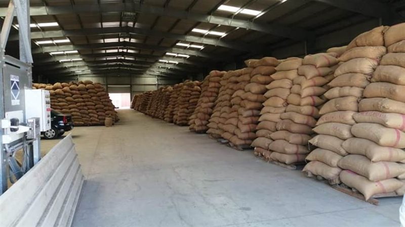 توريد القمح