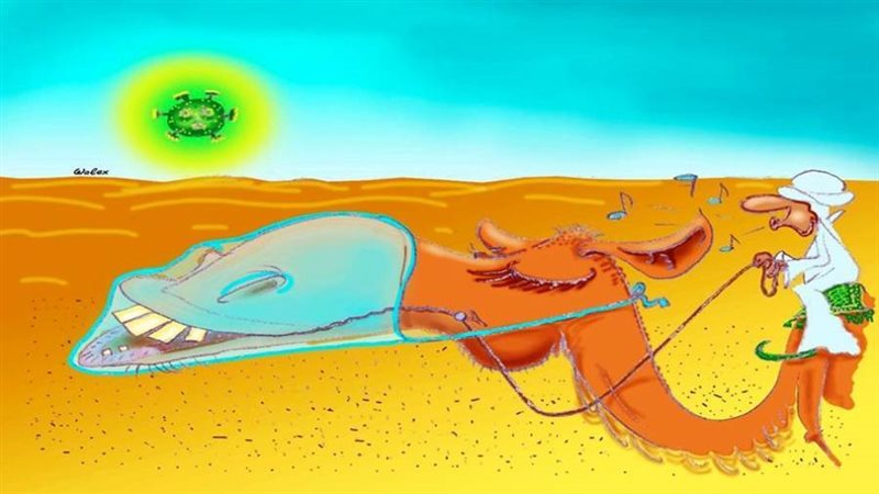 بوابة روز اليوسف