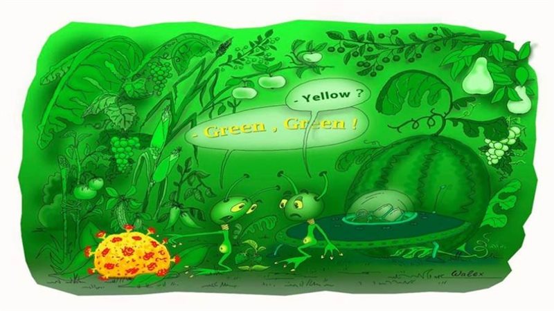 بوابة روز اليوسف