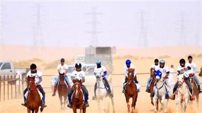 خبير: يجب استغلال فترة التوقف بسبب كورونا لتخطيط مسابقات للخيول للترويج للسياحة