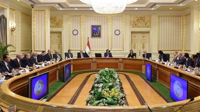 عاجل.. الحكومة تنسف 13 شائعة في أسبوع