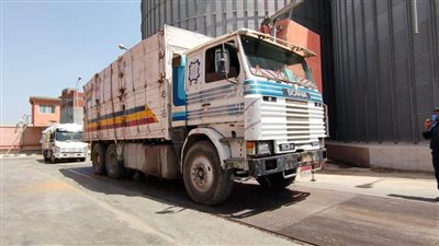توريد 243 ألف طن قمح بالبحيرة