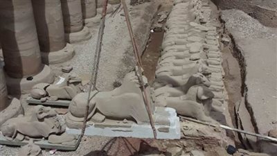 بدء ترميم كباش لمعابد الكرنك: أكبر مشروع ترميم منذ قرابة خمسة عقود 