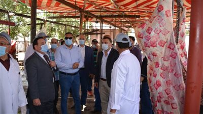 محافظ الدقهلية يتفقد المجزر الآلي بـ