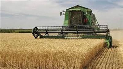 خبير زراعي: ورادات الأرز في أفريقيا قد تتراجع بسبب فيروس كورونا