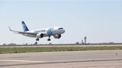 الهجرة: مصر تُعيد 595 مواطنًا من العالقين في السعودية