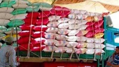 توريد 593 ألف طن من القمح لصوامع وشون الشرقية