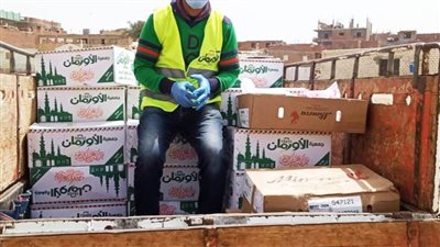 توزيع 10 آلاف كرتونة مواد غذائية و50 ألف كيلو لحوم على الأسر الأكثر احتياجًا بالمنيا 