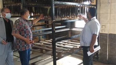 صحة الشرقية تعدم 1.5 طن أسماك مدخنة وملح غير صالح