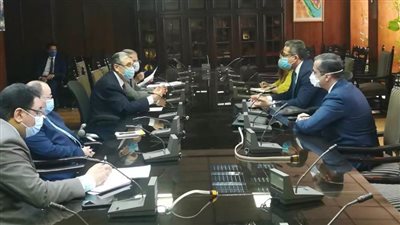  شاكر والعناني يبحثان سبل تأجيل سداد فواتير الكهرباء للمنشآت السياحية