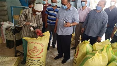 محافظ أسيوط: حملات متابعة مستمرة على المصانع والمشروعات العامة والخاصة