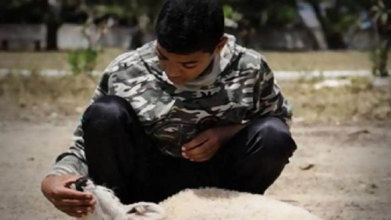 بوابة روز اليوسف