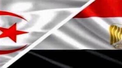 الرئيس السيسي يهنئ نظيره الجزائري بعيد الفطر المبارك