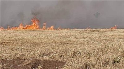 طائرتان أمريكيتان تحرقان بالبالونات الحرارية آلاف دونمات القمح شرقي سوريا