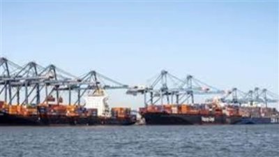 تداول 21 سفينة بميناء دمياط