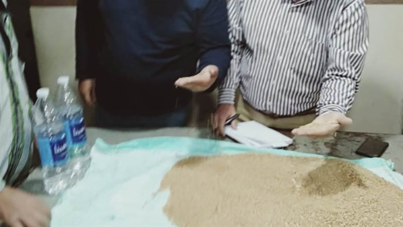 توريد القمح