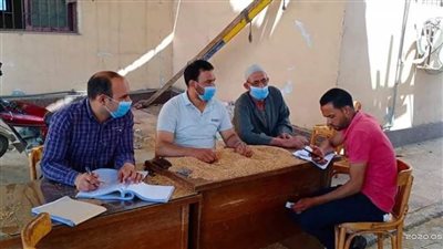 توريد ١٦٦ ألف طن قمح لصوامع كفر الشيخ