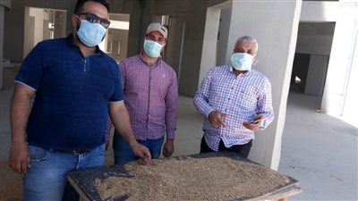 تموين الإسكندرية: إجراءات احترازية أثناء استلام القمح المحلي