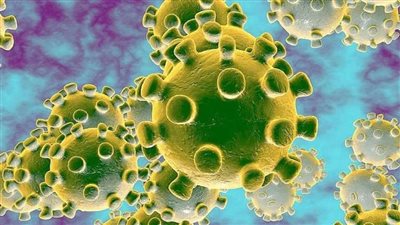 اكتشاف خاصية 