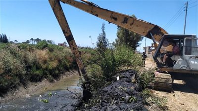 استمرار أعمال تطهير ونزع حشائش الترع والمصارف بمراكز البحيرة