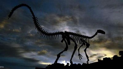 دراسة حديثة 