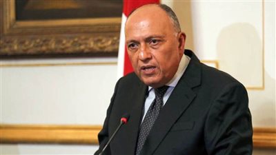 وزير الخارجية يبحث عددا من القضايا ذات الاهتمام المشترك مع نظيره الروسي 