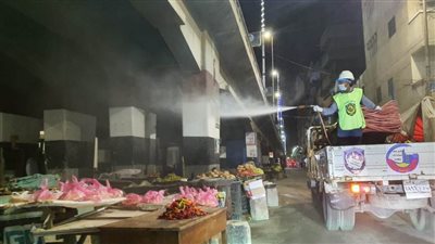 حملات ليلية لجامعة دمنهور لتطهير وتعقيم الشوارع