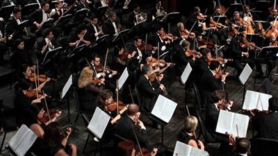 الثقافة تطلق سلسلة لقاءات فكرية