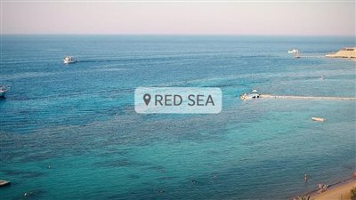 عاجل.. 7 فنادق جديدة تحصل على شهادة السلامة