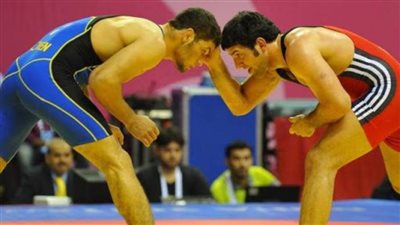 تعرف على نظام بطولات المصارعة 