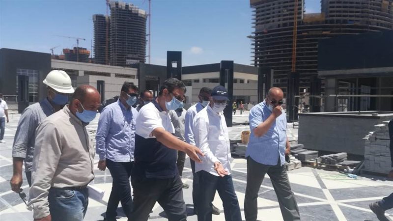 مساعد نائب رئيس هيئة