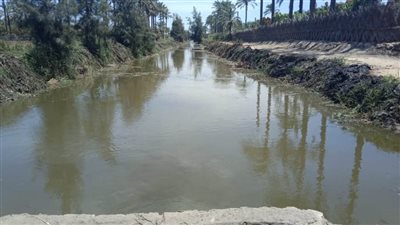 استكمال أعمال صيانة شبكات الصرف المغطى وتطهير المصارف بالبحيرة