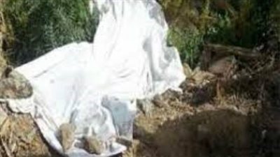 كشف غموض العثور على جثة مدفونة بالأراضى الزراعية بطوخ