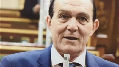 برلماني: مصر تؤمن بالحل السياسي في ليبيا