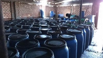 غلق مصنع مخللات وضبط ٢١ طنًا منتهي الصلاحية بالدقهلية 