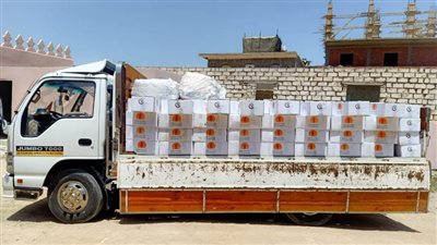 توزيع 2500 كرتونة مواد غذائية و1500 حقيبة مطهرات بقرى حياة كريمة بالبحيرة