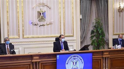 الحكومة توافق على تطوير مشروع التدريب العلمي لأطباء الزمالة إلكترونيا 