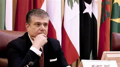 زين: مصر لديها جيش قوي يحمي أمنها القومي