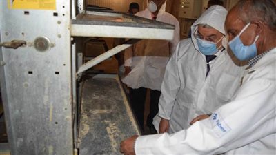 إنشاء مزرعة متكاملة لتسمين المواشي على مساحة 4 أفدنة بسمالوط.. صور  