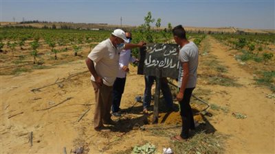 استرداد حق الدولة من غير الجادين وسحب 90 فدانا بالبحيرة