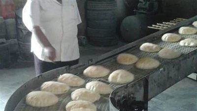 حملة تموينية تحرر 82 محضرًا بالبحيرة